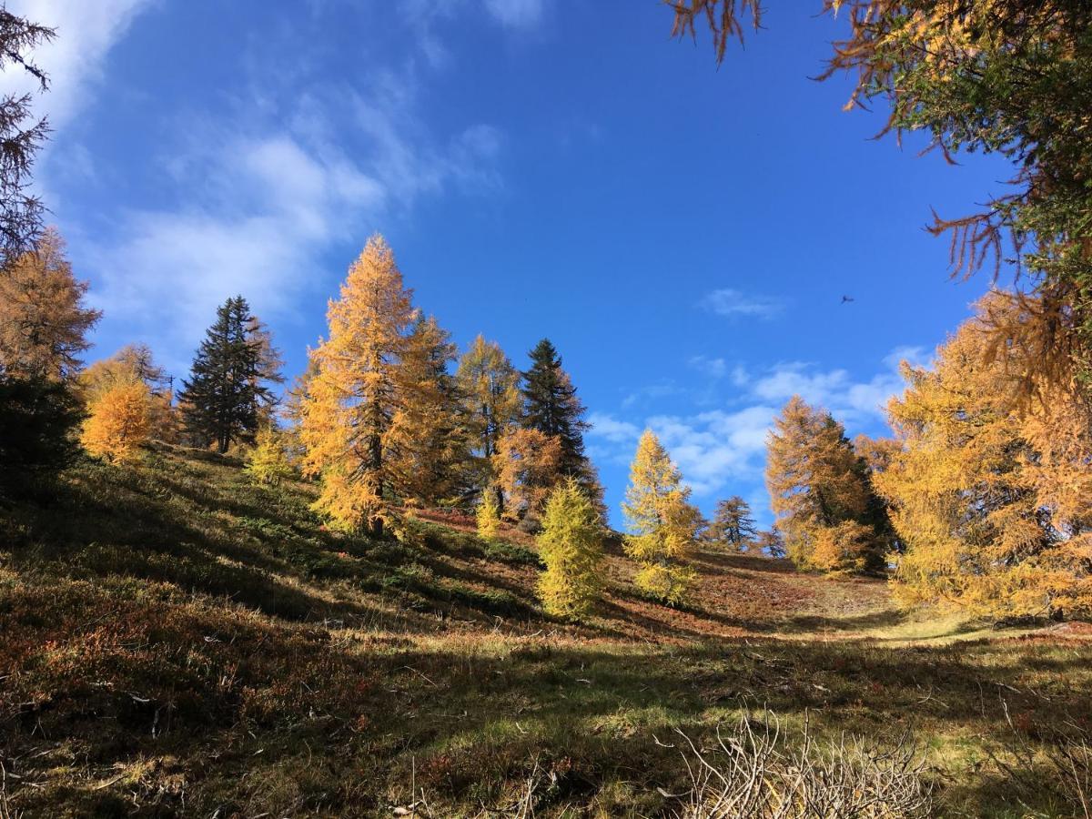 Gasthof Post Krems in Kaernten Dış mekan fotoğraf