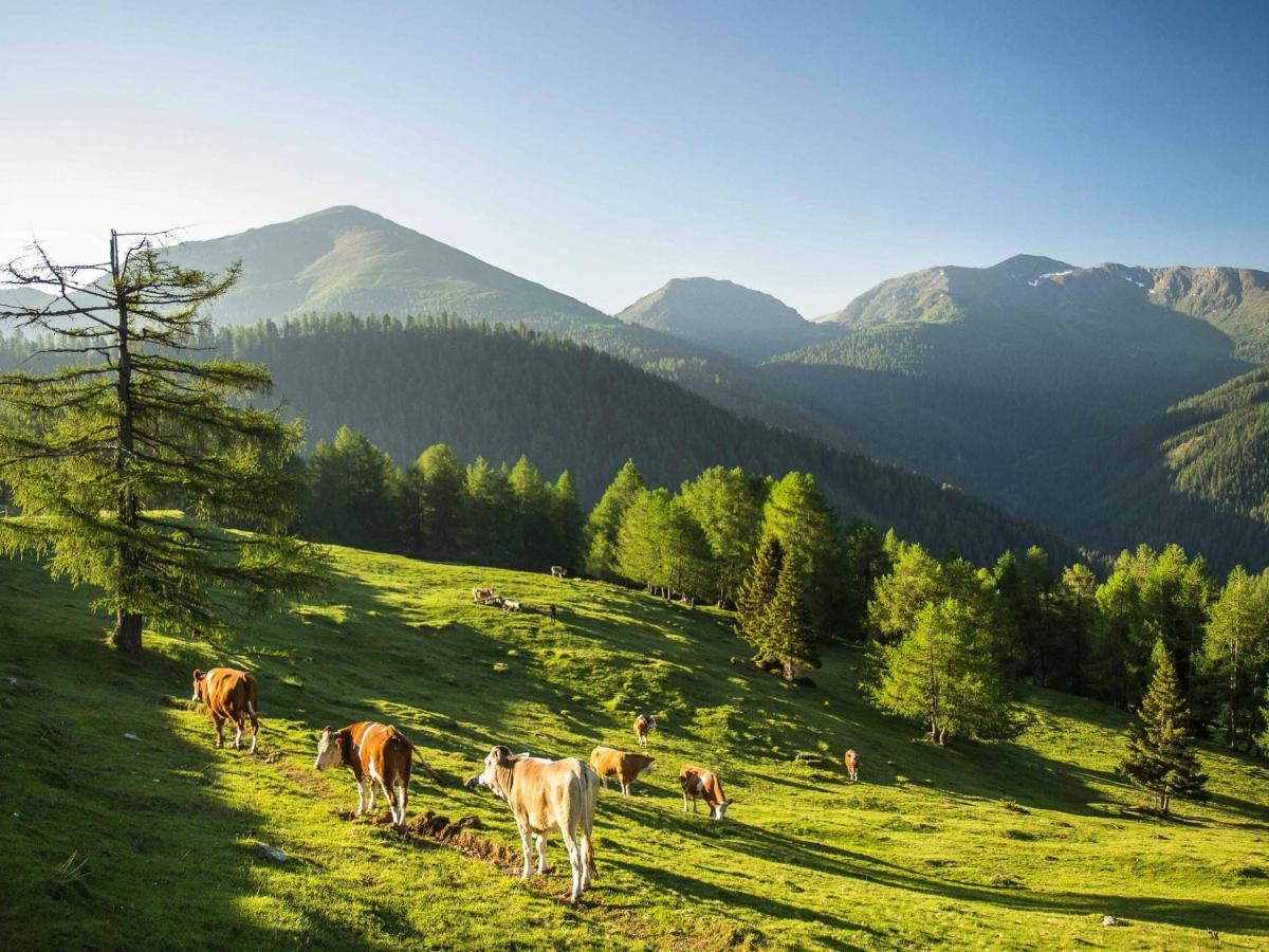 Gasthof Post Krems in Kaernten Dış mekan fotoğraf