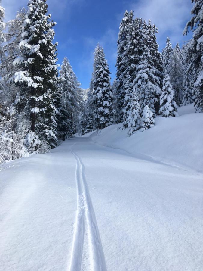 Gasthof Post Krems in Kaernten Dış mekan fotoğraf
